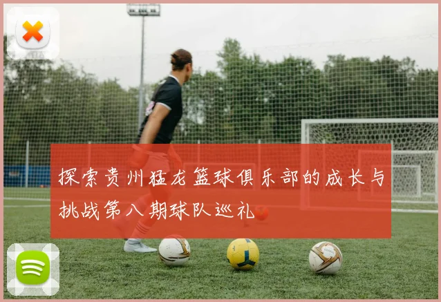 探索贵州猛龙篮球俱乐部的成长与挑战第八期球队巡礼