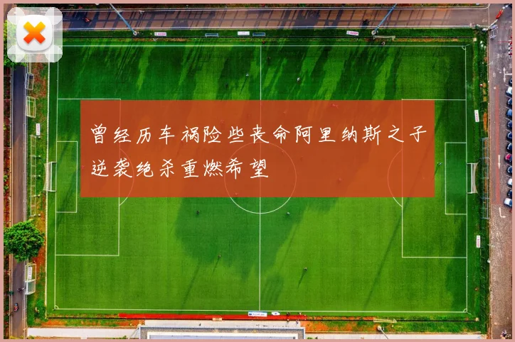 曾经历车祸险些丧命阿里纳斯之子逆袭绝杀重燃希望