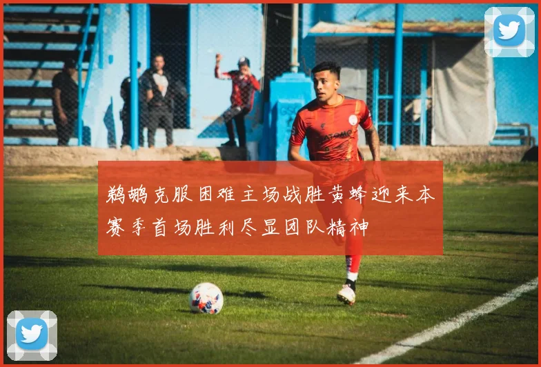 鹈鹕克服困难主场战胜黄蜂迎来本赛季首场胜利尽显团队精神