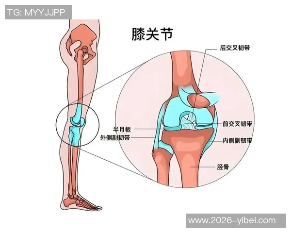 加比亚左膝过度伸展受伤情况更新已排除韧带和半月板损伤风险 加比亚左膝过度伸展受伤情况更新已排除韧带和半月板损伤风险