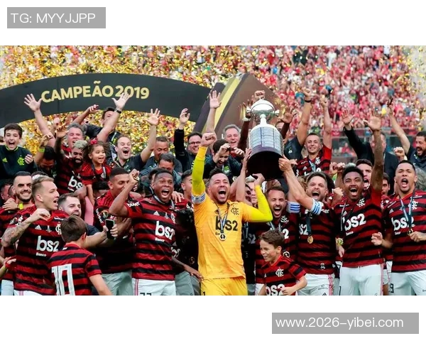 南美解放者杯决赛球队的巴西统治力近十年显著体现